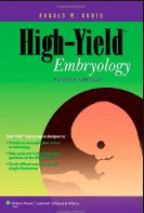 sketchy medical pharmacology pdf